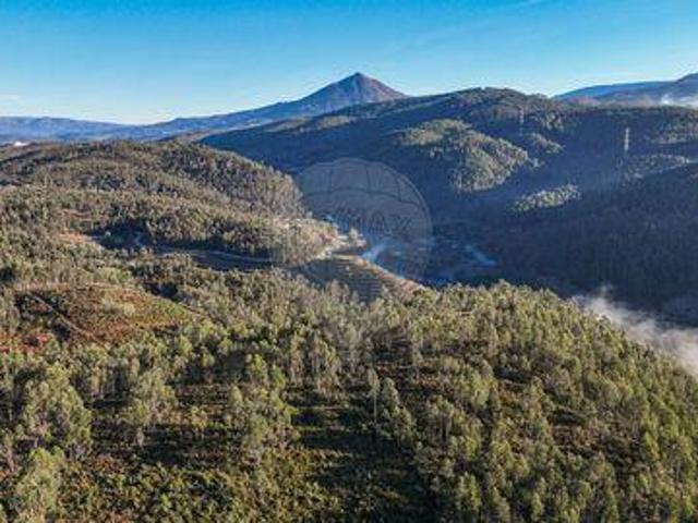 Terreno venda em Cruz de Baixo, Celorico De Basto