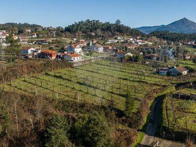 Terreno venda em Celorico De Basto, Braga