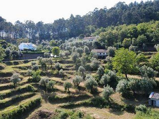Terreno venda em Celorico De Basto, Braga