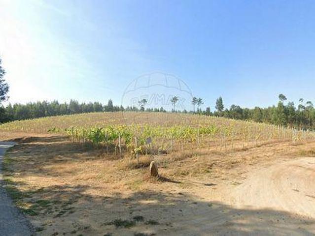 Terreno venda em Canedo de Basto e Corgo, Celorico de Basto