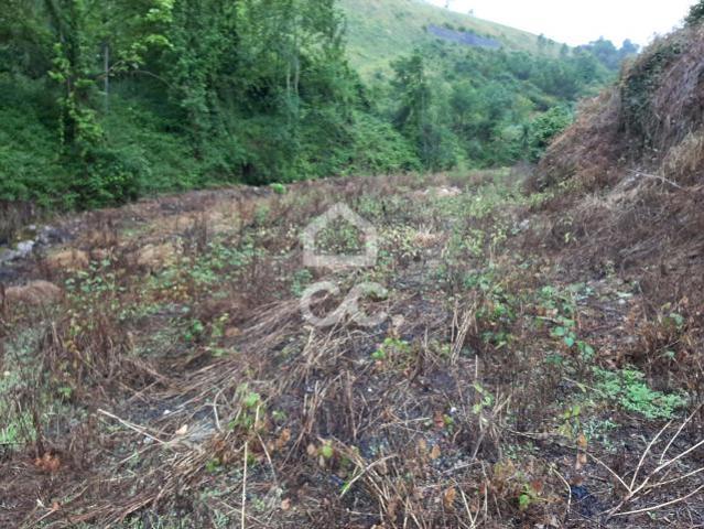Terreno venda em Celorico De Basto, Braga
