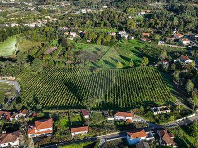 Terreno venda em Celorico De Basto, Braga