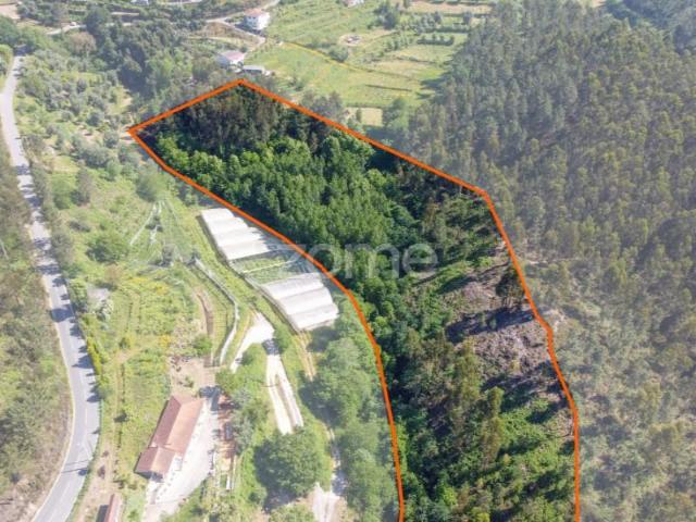 Terreno venda em Celorico De Basto, Braga
