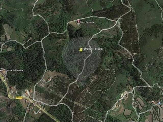 Terreno venda em Monte do Marco, Celorico De Basto