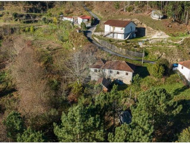 Terreno venda em Alfarela, Celorico De Basto