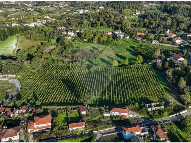 Terreno venda em Celorico De Basto, Braga