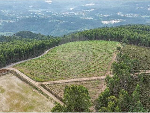 Terreno venda em Cerdeirinhas, Celorico De Basto