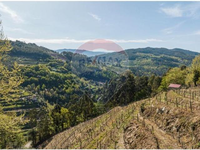 Terreno venda em Celorico De Basto, Braga