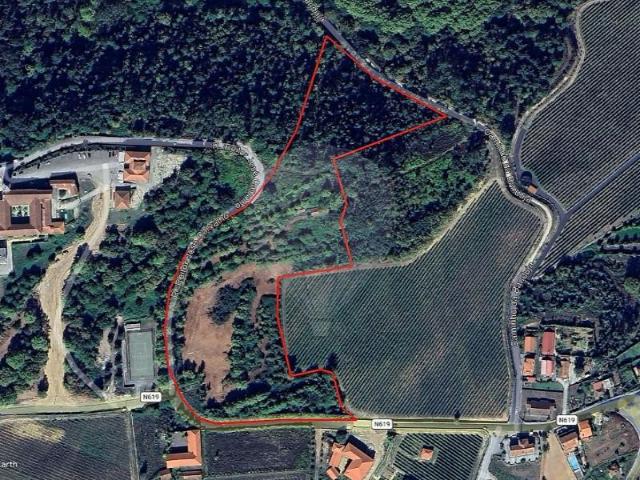Terreno venda em Celorico De Basto, Braga