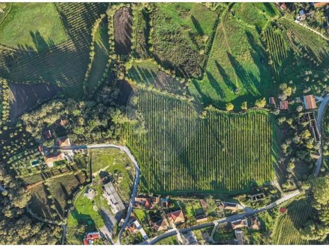 Terreno venda em Celorico De Basto, Braga