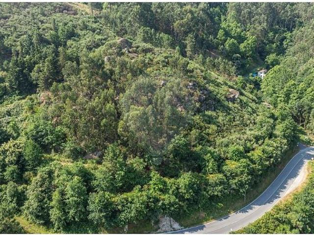 Terreno venda em Celorico De Basto, Braga