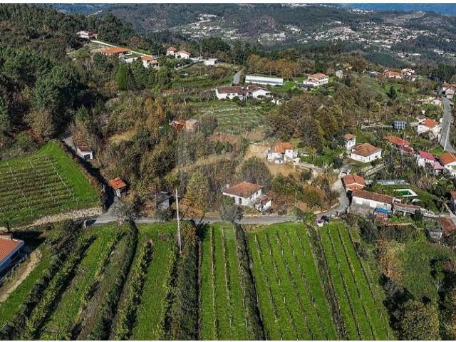 Terreno venda em Celorico De Basto, Braga