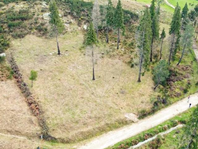 Terreno venda em Celorico De Basto, Braga