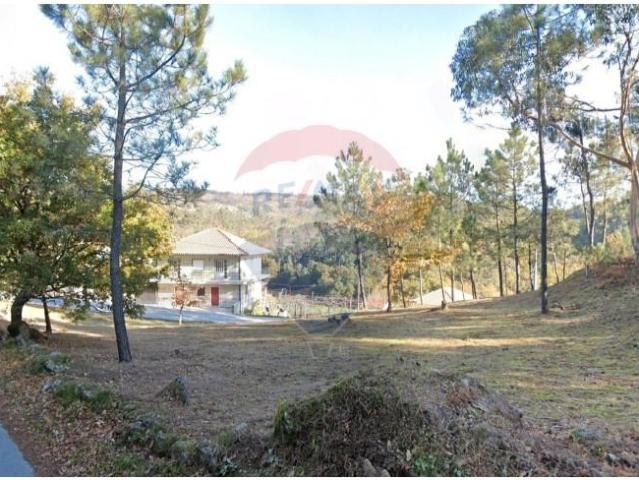 Terreno venda em Celorico De Basto, Braga