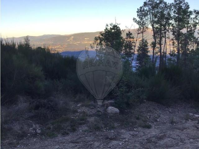 Terreno venda em Monte do Marco, Celorico De Basto