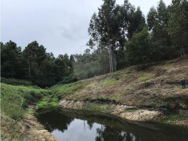 Terreno venda em Monte do Marco, Celorico De Basto