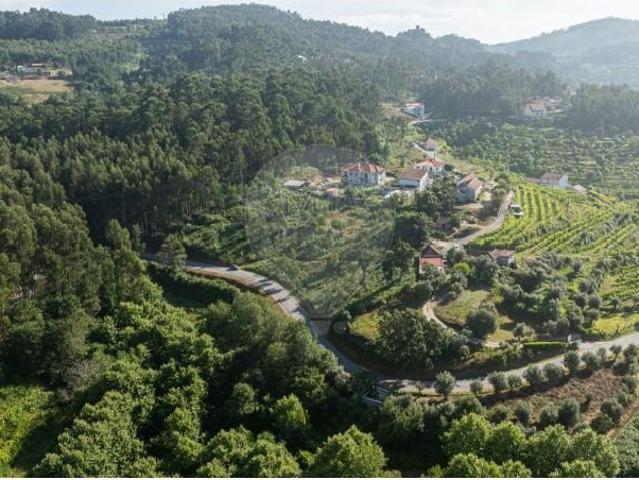 Terreno venda em Moreira do Castelo, Celorico de Basto