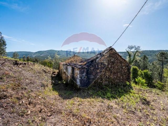Casa venda em Celorico De Basto, Braga