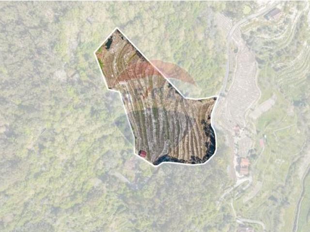 Terreno venda em Caçarilhe e Infesta, Celorico de Basto