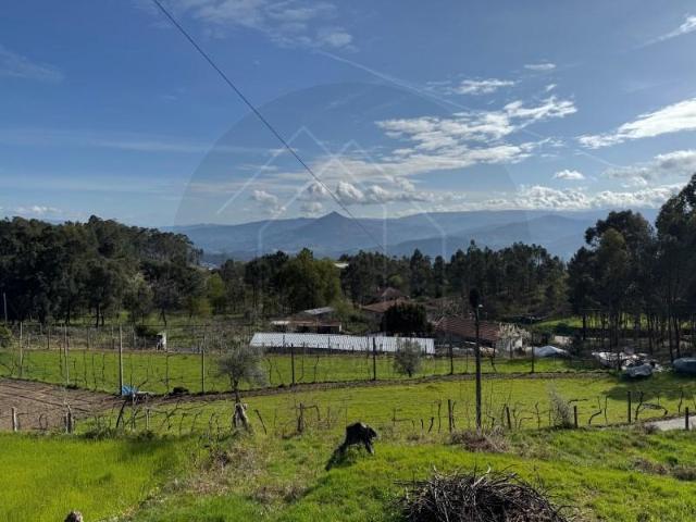 Terreno venda em Celorico De Basto, Braga