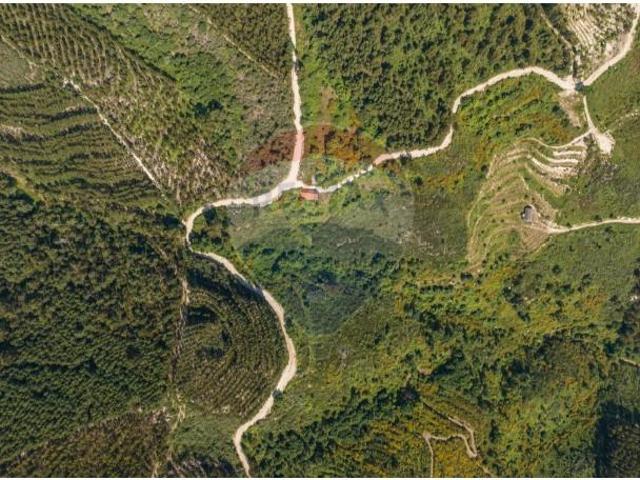 Terreno venda em Celorico De Basto, Braga