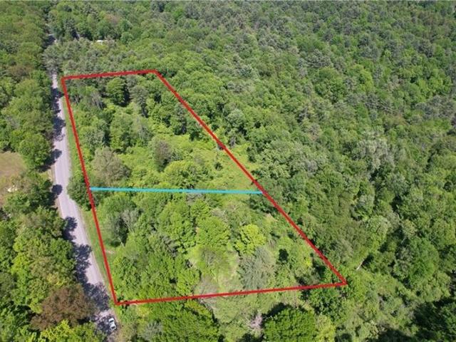 Land for sale in Oneonta