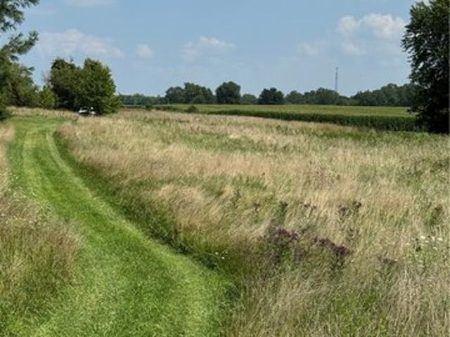 Land for sale in Burbank, Ohio