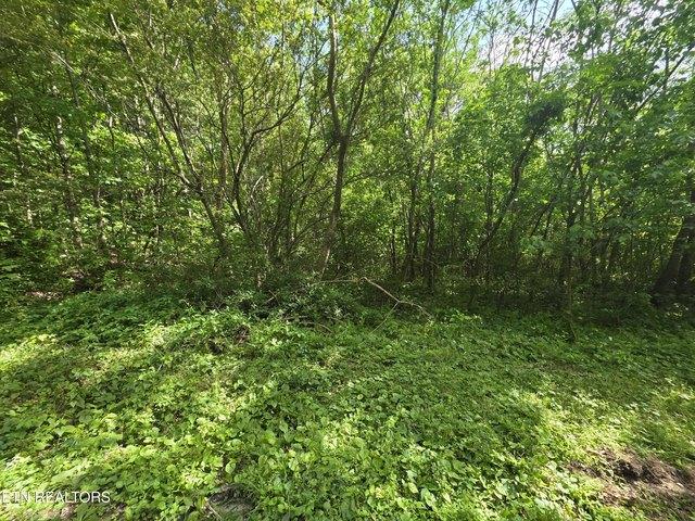 Land for sale in Tennessee