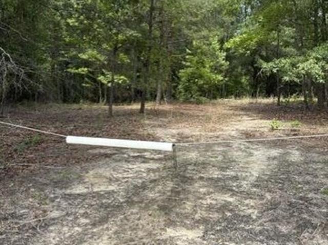 Land for sale in Elko, South Carolina