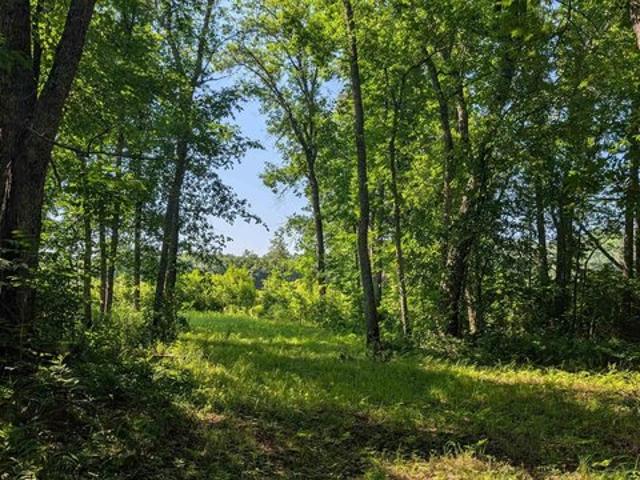 Land for sale in Orr, Minnesota