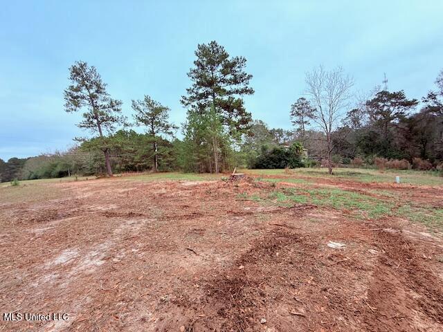 Land for sale in Tylertown, Mississippi