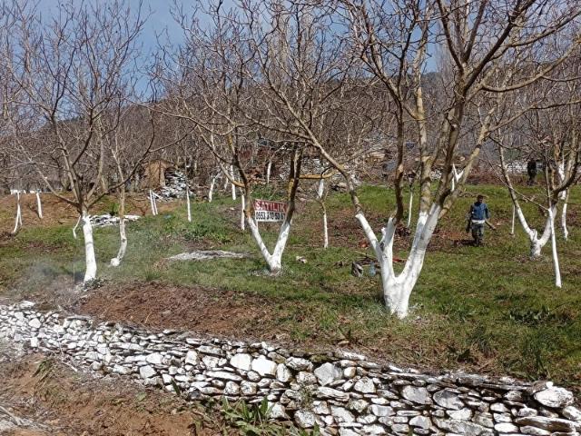 Bayindir, İzmir içerisinde satılık mülk