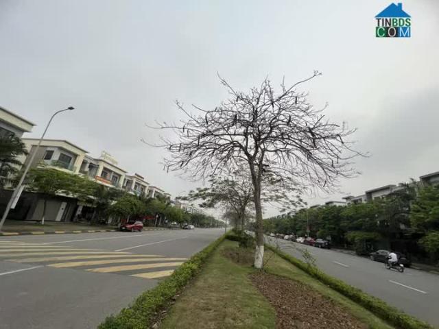 Nhà mặt phố bán tại Bắc Ninh
