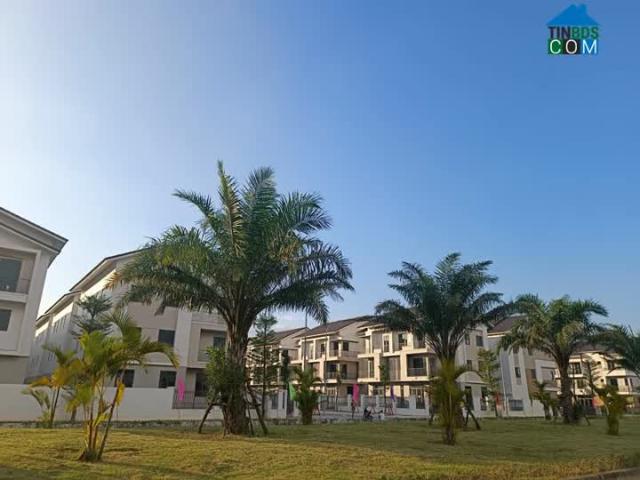 Biệt Thự bán tại Bắc Ninh