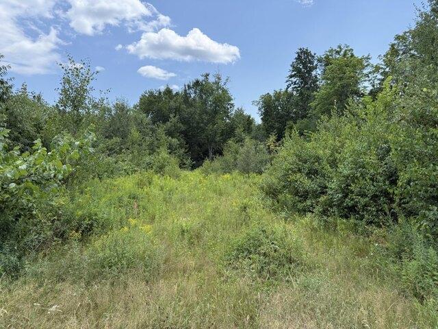 Land for sale in Chase Corner, Weld