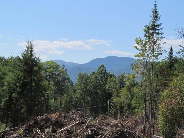 Land for sale in Weld, Maine