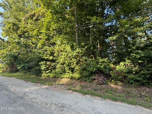 Land for sale in Tennessee