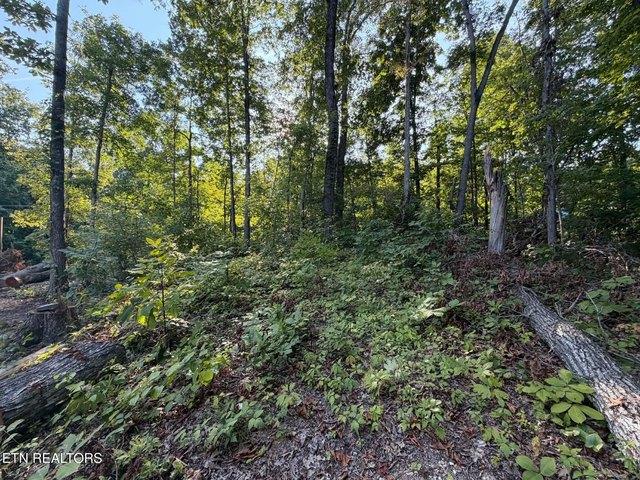 Land for sale in Tennessee