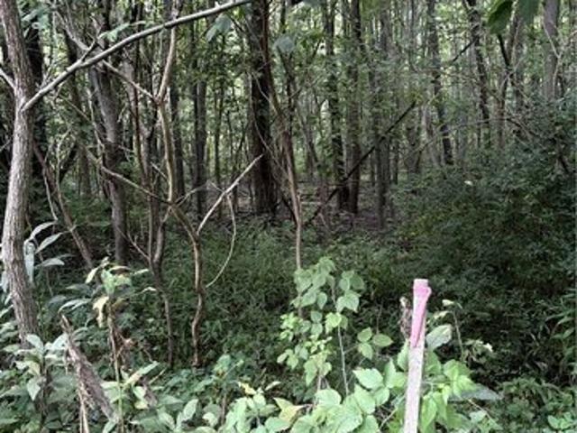 Land for sale in Portage, Ohio