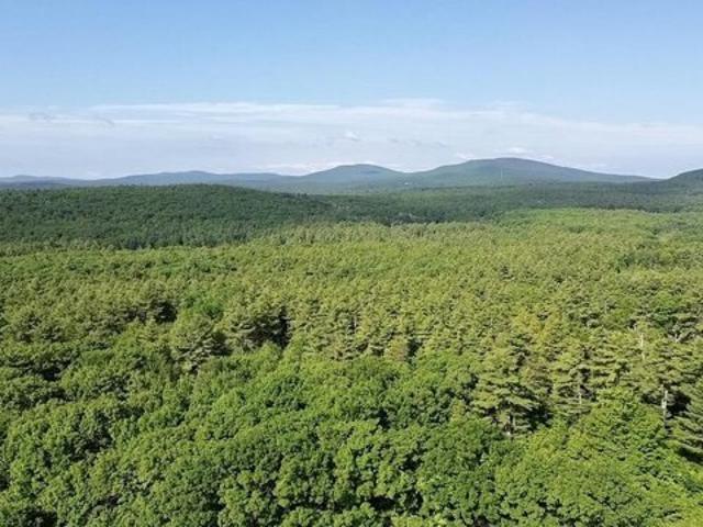 Land for sale in New Hampshire
