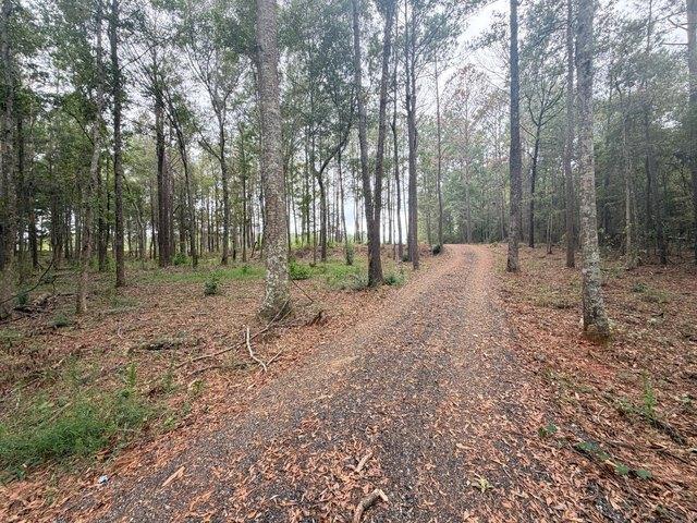 Land for sale in Luverne, Alabama