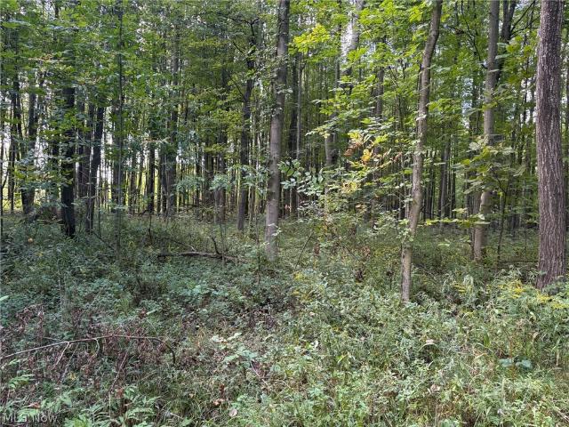 Land for sale in Monroe Center, Conneaut