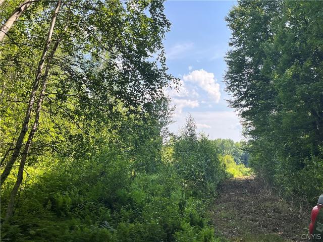 Land for sale in Mannsville, New York