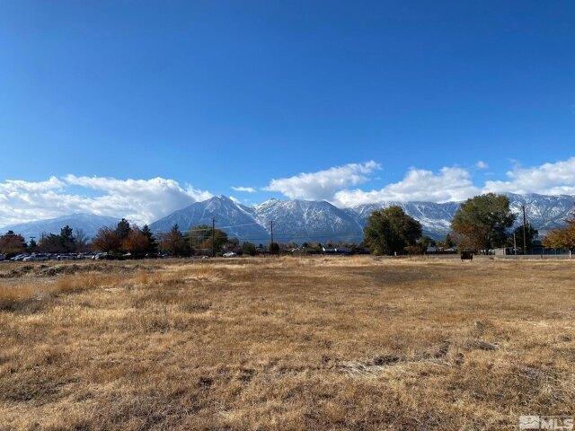 Land for sale in Gardnerville Land for sale in Gardnerville