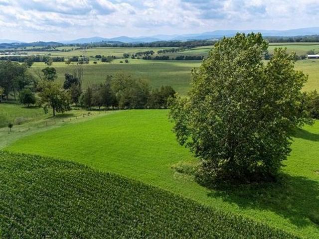 Land for sale in Bridgewater, Rockingham County
