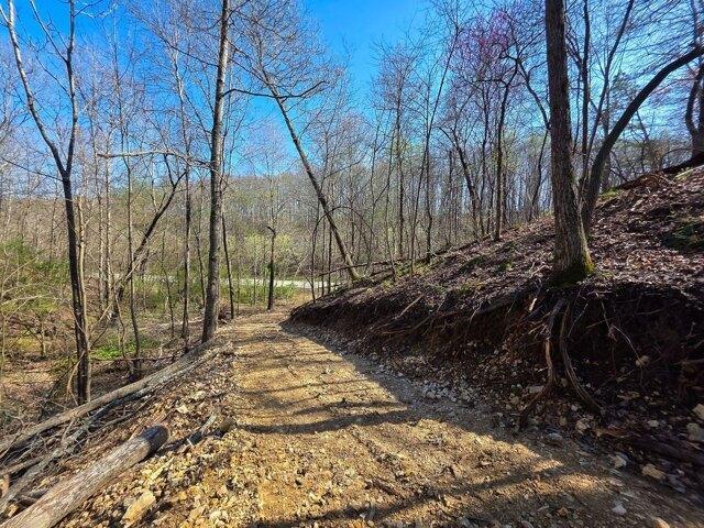 Land for sale in Tennessee