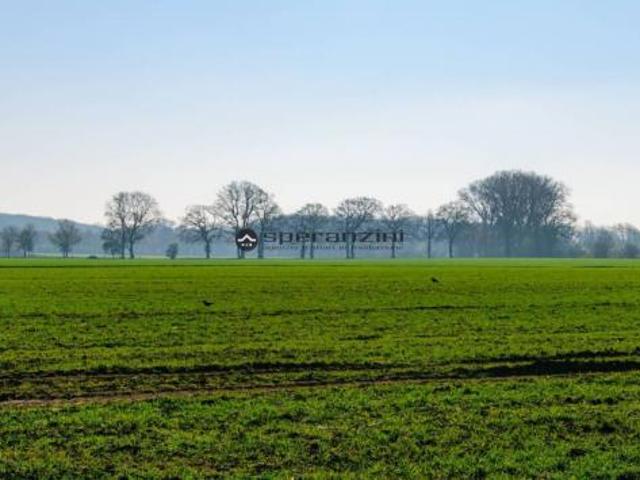 Terreno in vendita a Fano, Pesaro e Urbino