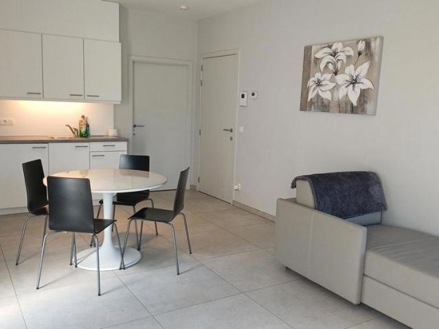 Appartement location à Wommelgem, Antwerpen