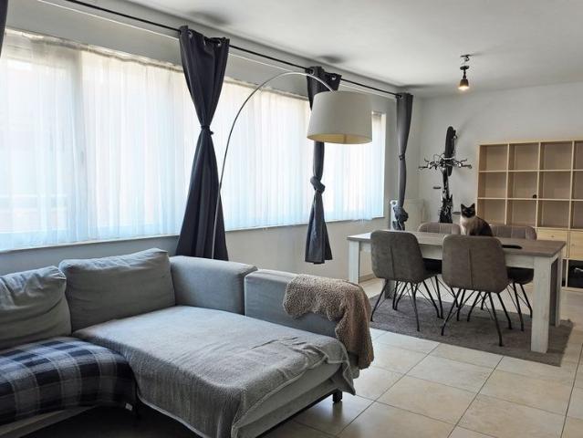 Appartement location à Eeklo, Oost-Vlaanderen