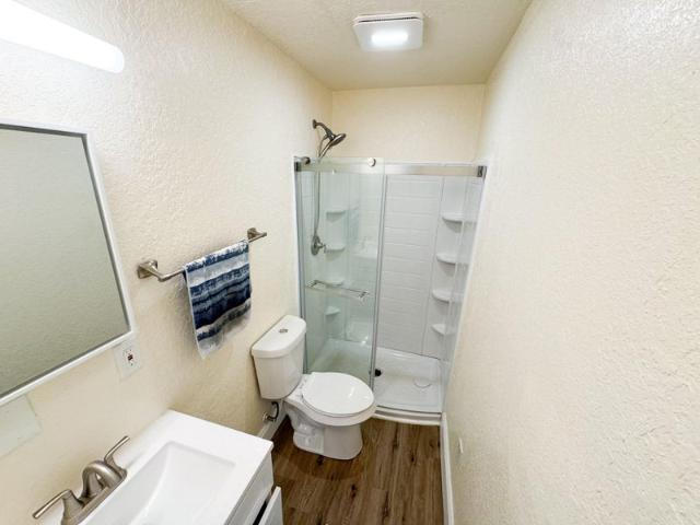 Room for rent in Saint Petersburg, Florida